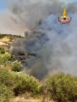Incendi boschivi, in Sicilia da metà giugno 141 interventi dei vigili del fuoco 