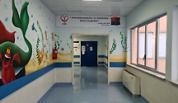 Cardiochirurgia pediatrica, l'affondo del M5S: «Su Palermo dati gonfiati»