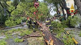 Domenica di piogge, temporali e neve: da lunedì torna l'anticiclone 