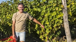 Arrestato il "Madoff delle Langhe": così il broker faceva la bella vita truffando i suoi clienti