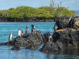 Ambiente, buone notizie dalle Galapagos: la riserva cresce di sei milioni di ettari