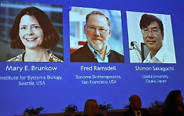 Nobel per la Medicina, chi sono i tre immunologi premiati