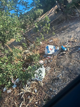 "Rimuovere i detriti e i rifiuti lungo i cigli della Ragusa-Comiso"