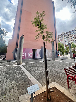 Vandalizzata la targa di Lia Pipitone a Palermo: la memoria non si cancella