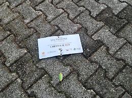 La targa dedicata a Lia Pipitone divelta e strappata ancora una volta