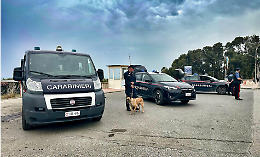 Sicurezza rafforzata a Gela e Niscemi: sei denunce e otto segnalazioni nel servizio straordinario dei carabinieri
