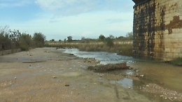 Arriva l'ok di Schifani: c'è una terza irrigazione di soccorso per gli agrumeti e i pescheti di Ribera