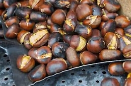 Festa del Castagno – Sapori d’Autunno 2025