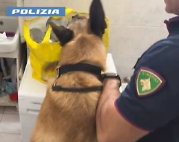 Sequestrati quattro chili di droga grazie al fiuto del cane poliziotto Maui