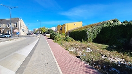 Dove correvano i treni ora crescono i rovi