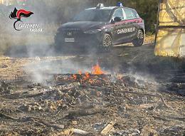 Santa Croce, tunisino ubriaco dà fuoco a una serra: arrestato