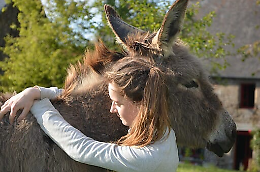 Camminare con gli asini: riscoprire i Monti Nebrodi a passo lento