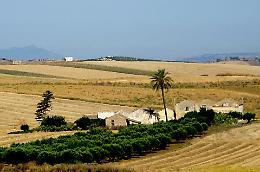 Quaranta milioni per agriturismi e agricoltura sociale: incentivi fino al 60% per diversificare le aziende rurali