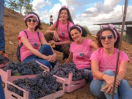 Un brindisi contro la violenza: quando la vendemmia diventa impegno sociale