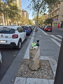 Catania, i tronchi diventano cestini: degrado (creativo) in Corso Italia