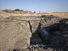 Nella piana di Catania produzione di carciofi decimata. «L'acqua c'è, ma condotte colabrodo. Serve un piano Marshall»