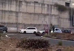 Paura a Catania, cavallo con calesse stramazza a terra in mezzo al traffico