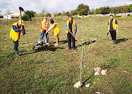 Ragusa, i soci Lions e il service "Puliamo la nostra città"