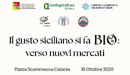 Sicilia Bio: il gusto che cresce tra innovazione e mercati internazionali