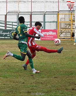 "I giocatori del Vittoria sono razzisti". "Accuse infondate, dite il falso"