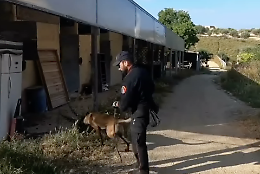 Tredici arresti in una maxioperazione antidroga tra Pozzallo e Ispica