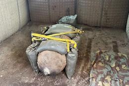 Una bomba da 450 chili vicino al centro abitato di Pantelleria: evacuate quasi mille persone