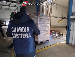 Porto di Pozzallo, sequestrati 250 kg di pesce non tracciato