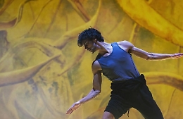 Teatro dell'Opera di Roma, il primo ballerino è un siciliano