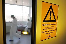 Allarme influenza aviaria in Germania: abbattuti circa 130.000 pennuti tra anatre e polli vicino a Berlino