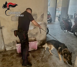 Pattuglie e cani antidroga fermano a Riposto  un 29enne: sequestrati cocaina, marijuana e crack