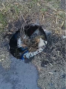 Viale Nitta dimenticato: buche, erba alta e blocchi New Jersey mai rimossi