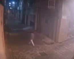 Tentato incendio a Pietraperzia: ragazzi ospiti sventano l'attentato al centro Don Bosco 2000