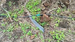 Parco Gioeni, riqualificato da pochissimo ma già danneggiato