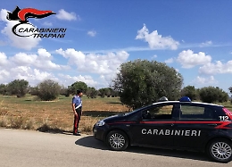 Castelvetrano, trovati con 200 chili di olive nel sacco: denunciati