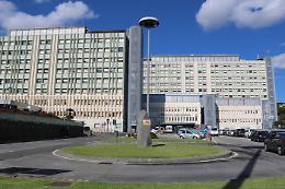 Ruba uno scooter, la polizia lo insegue e si schianta contro un palo 