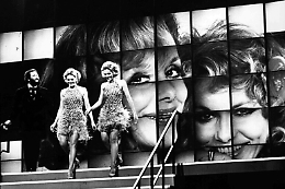 Gemelle Kessler, simbiosi e geni dietro la scelta estrema del suicidio assistito