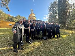 Due frassini di manna delle Madonie piantumati nei Giardini Vaticani: un dono tra fede e solidarietà