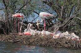 La Regione acquisirà la casa di Modugno a Lampedusa. Approvati altri progetti di recupero in cinque aree naturali protette