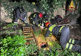 Marsala: cade in un pozzo profondo trenta metri, salvato dalle squadre Saf