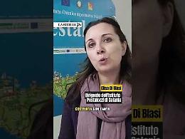 Rogo alla Pestalozzi, la dirigente: "Risorgeremo come l'araba fenice"