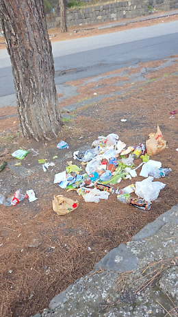 Monti Rossi, Parco dell’Etna: un paradiso ferito dai rifiuti abbandonati