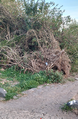 Catania. Parco Gioeni riaperto dopo un anno di lavori: tra aspettative deluse e problemi irrisolti