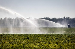 "Necessario programmare in tempo la campagna irrigua 2026"