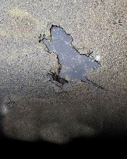 La "rat hole di Chicago non è un super- ratto ma (forse) uno scoiattolo sfortunato 