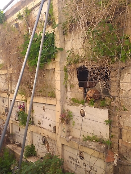 Patern&ograve;, cimitero in rovina: loculi scoperchiati, lapidi ammassate e sterpaglie