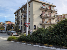 Pericolo all'incrocio Circonvallazione-Via Giuffrida: Siepe non tagliata da un anno mette a rischio gli automobilisti
