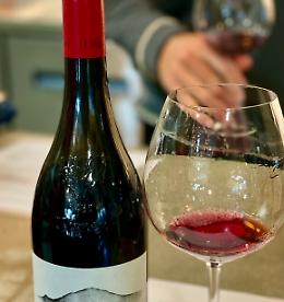 Etna Doc in ripresa: +6,27% nel 2025, boom del bianco e spumanti oltre 300.000 bottiglie