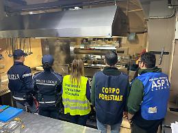 Blitz alla Pescheria di Catania: gamberi "fantasma", cucina sospesa e sanzioni per oltre 10.000 euro