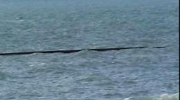 "Il pennello a mare fluttua libero, rischio disastro". Il Comitato Mare Nostrum lancia l'ultimatum e chiede un Consiglio comunale urgente