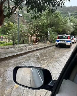 Ciclone Harry a Ragusa: 130 interventi in tre giorni, la polizia locale in prima linea